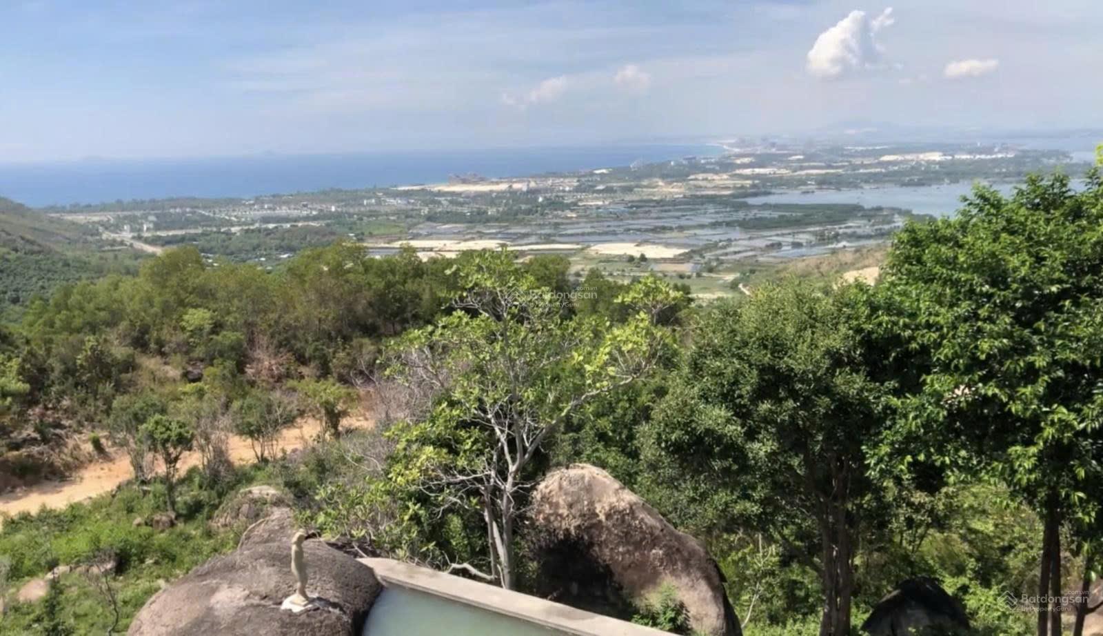 z6723805117315_03b03851ec234a2184ccf00dd1b91ec2