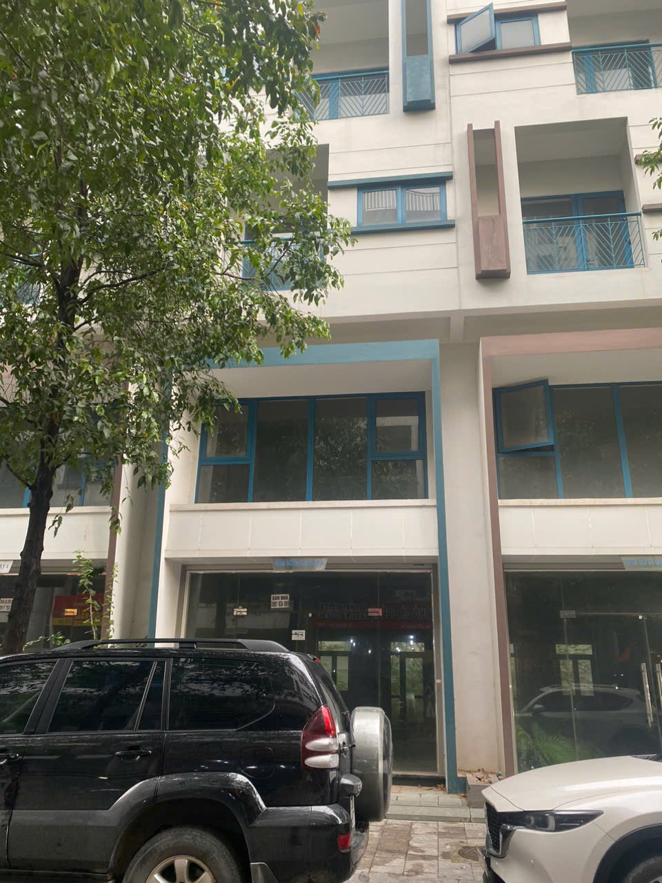 z6727244586583_16aeda32132cb01c3288bf1f874596e9