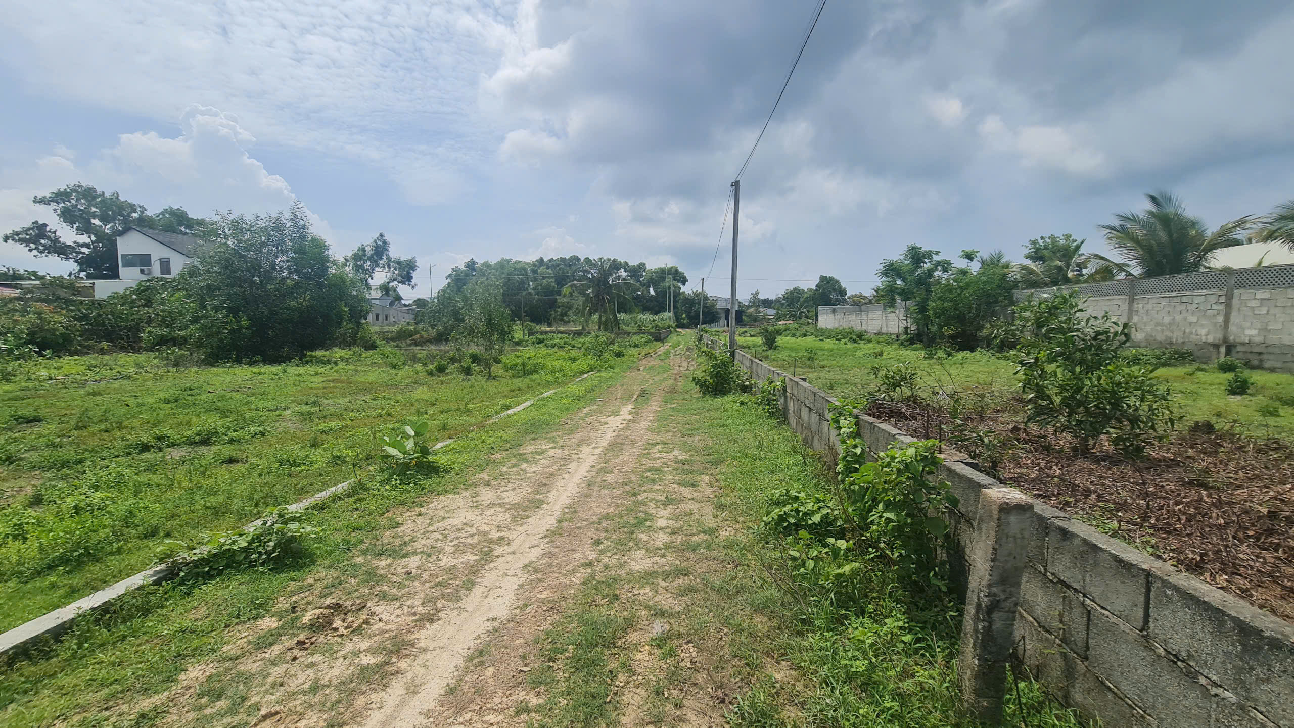 z6731737966350_9f2d77e61eee5801786f3008ce7531f2