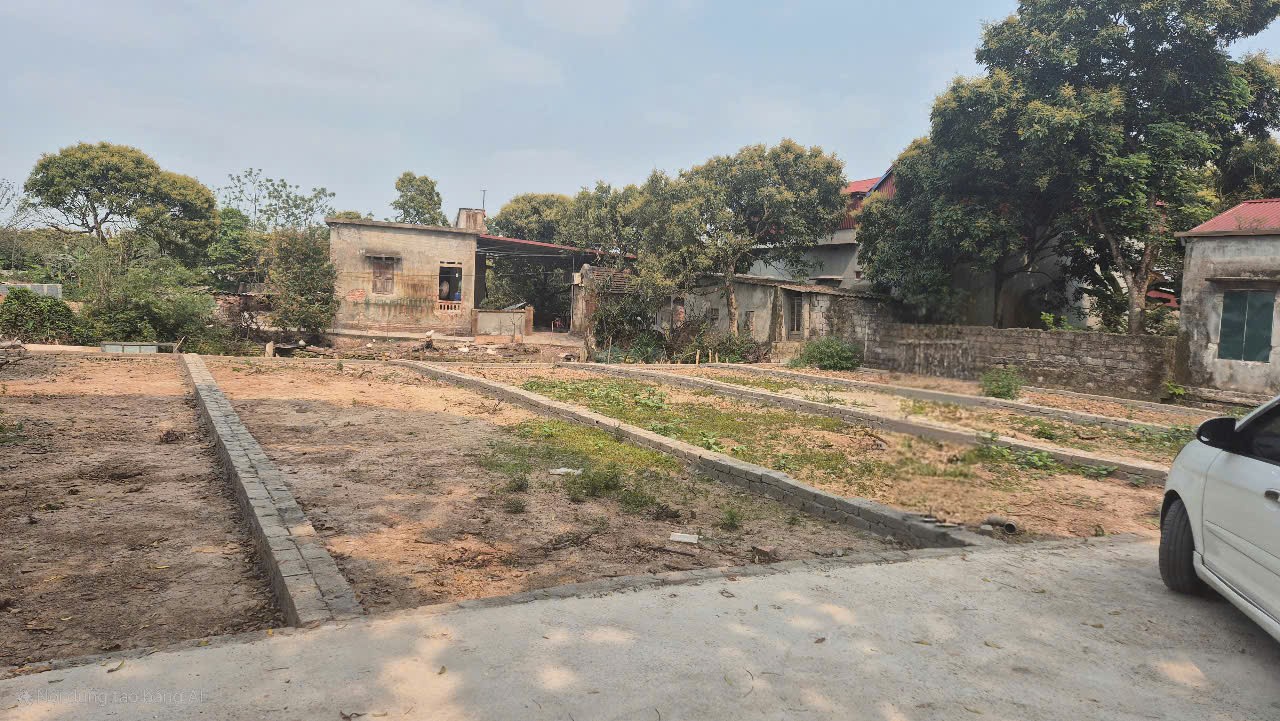 z6732999175090_8e19a96b4edbf190345183219e38b9fa