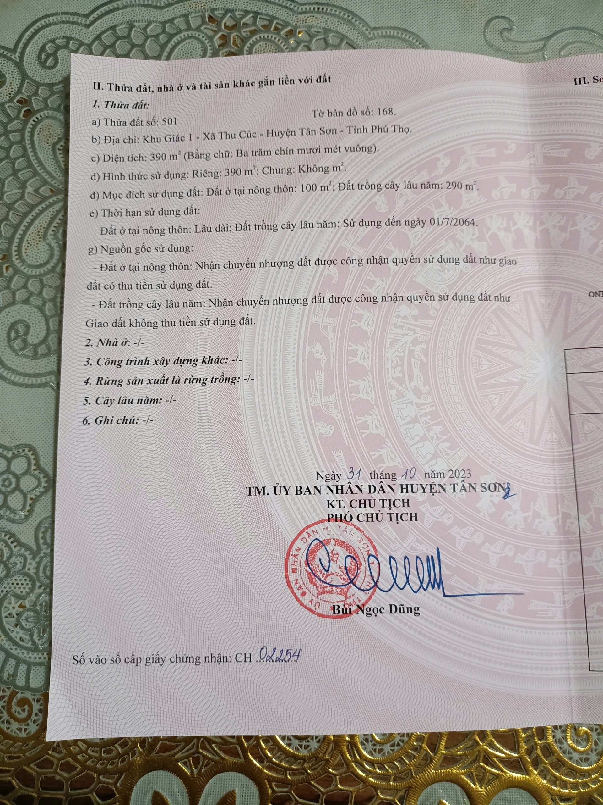 z6733820096141_14b81fe695cfa8388ecaf4ffc77f7079