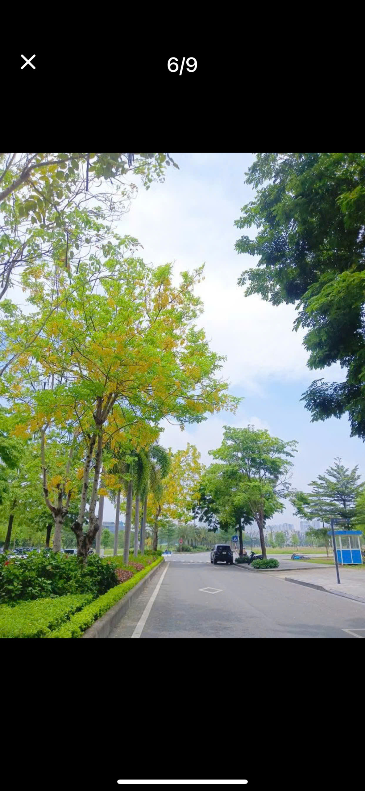 z6734291284051_e27489854181e705a20fe360cbdcd74e