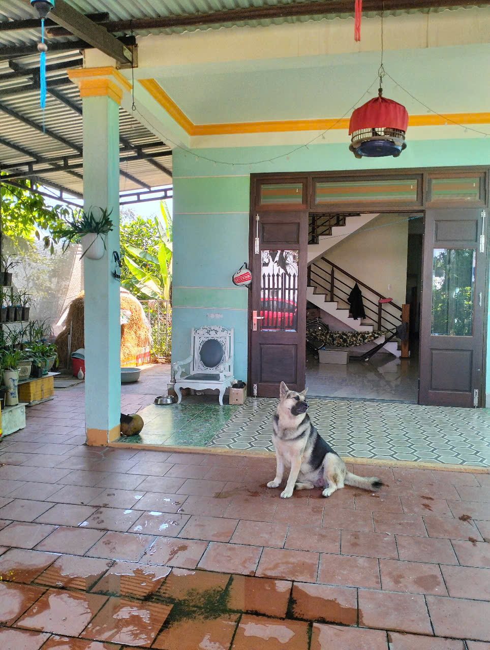 z6734817342174_9b28d3a8777c64a0e8504596682ee693