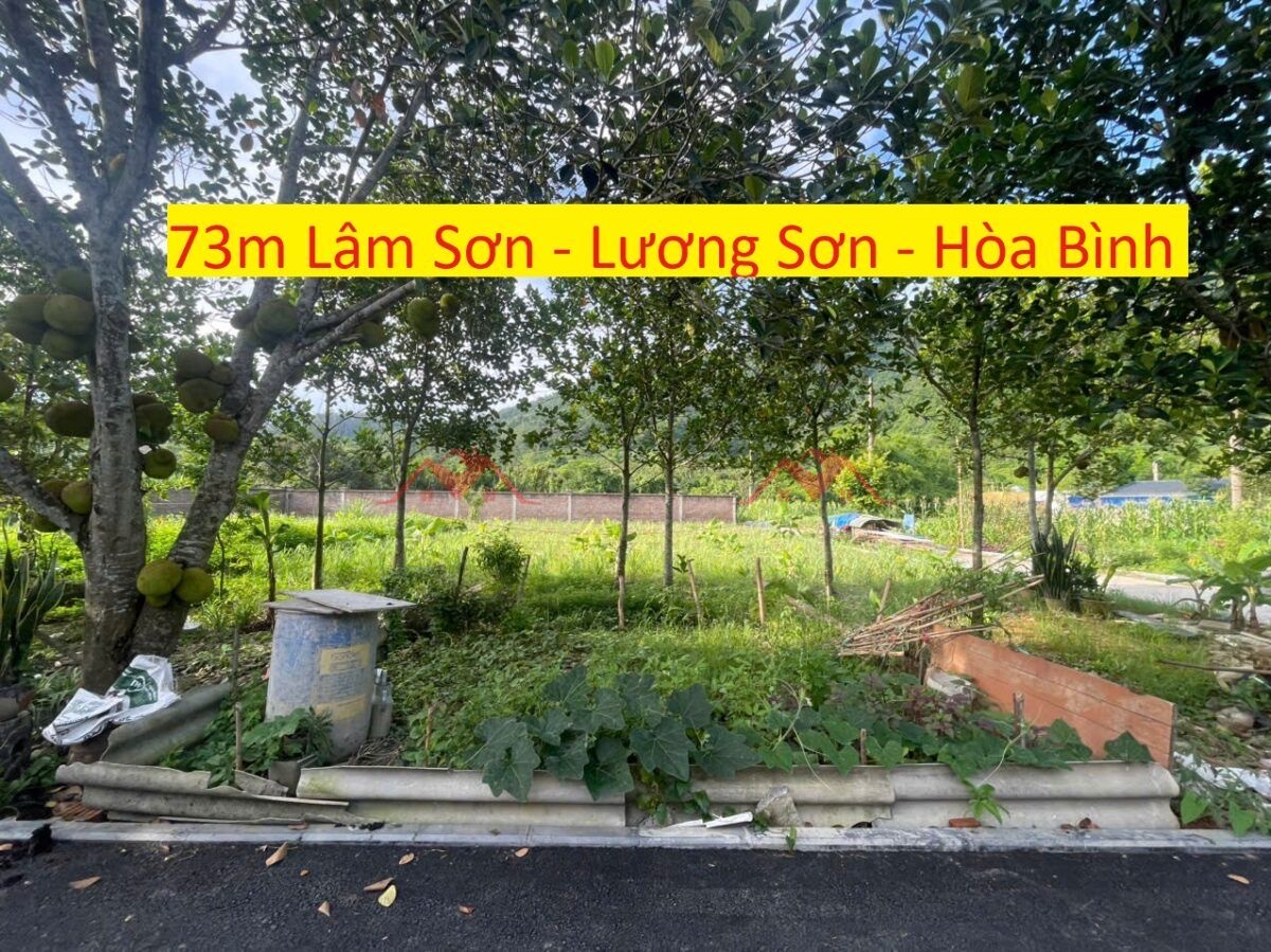 z6734849969325_0c9ac88b72b1f834a1b38298798a1ff8