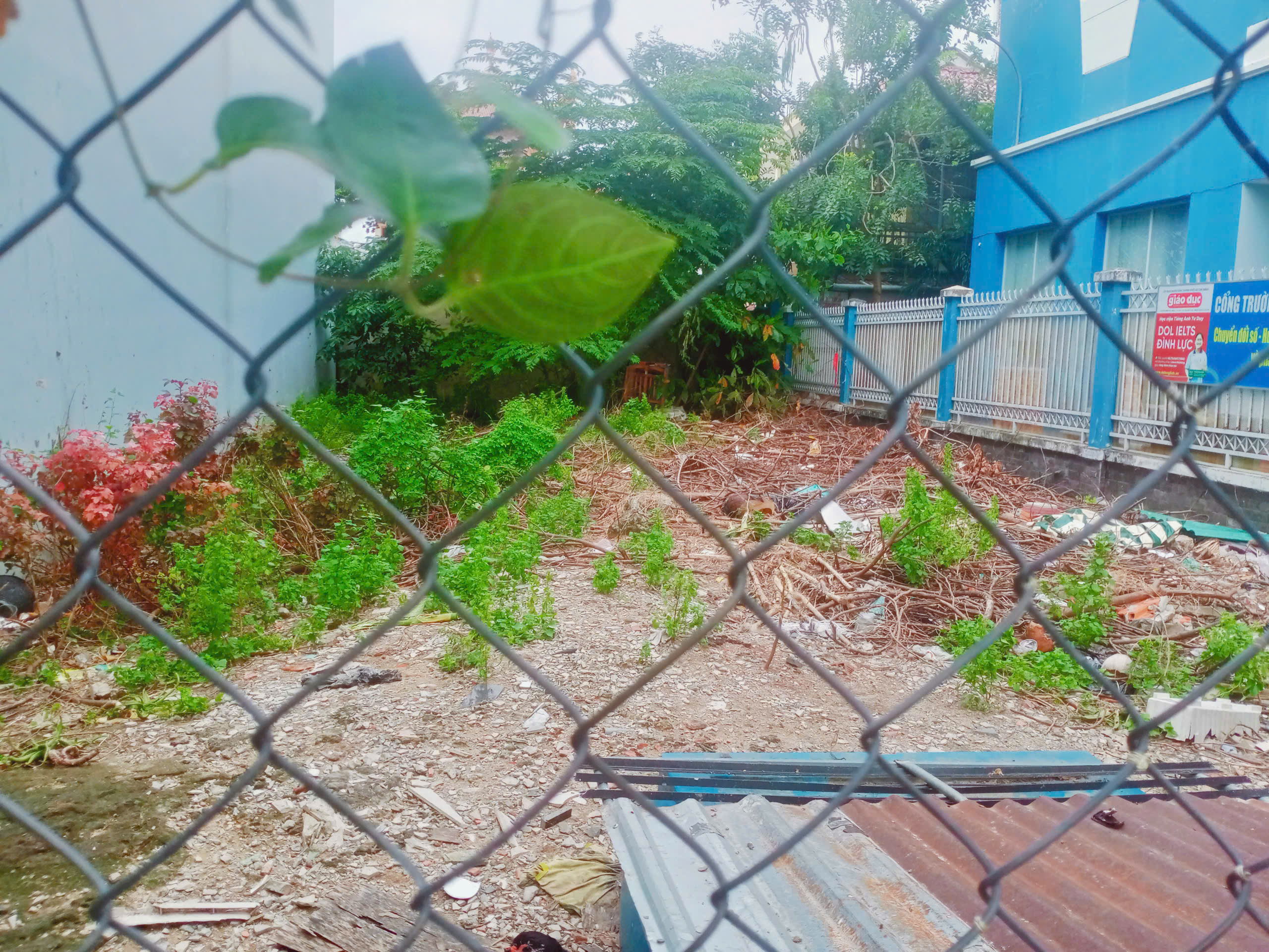 z6738983459754_d787b804d6800417dd4add74c6d647f0