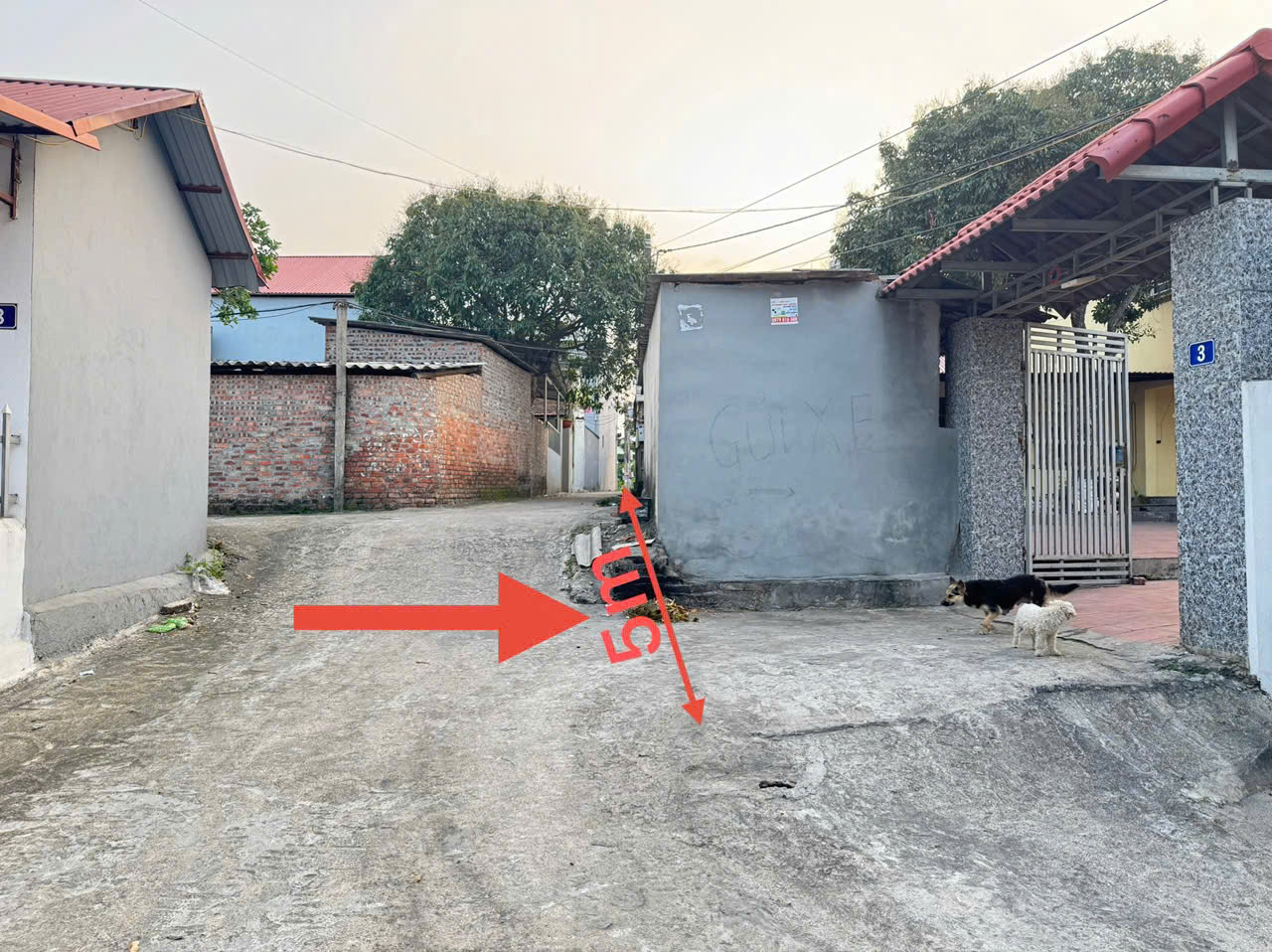 z6740913298120_44b35dc4d56338c56b878013694af0ad