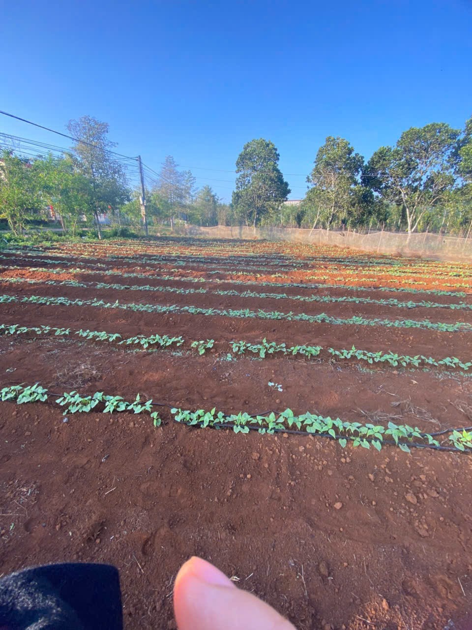 z6741300381025_807d6e26725e41b206a9f474fe52b57d