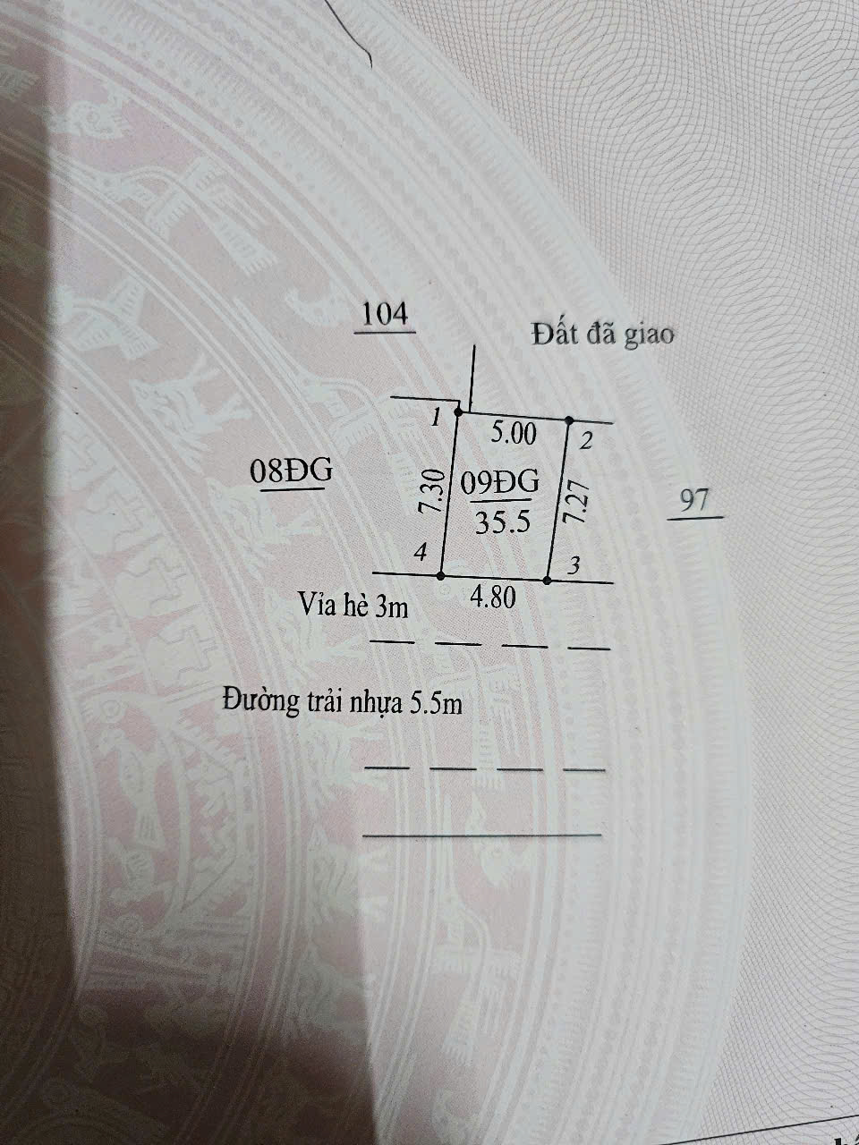 z6748941906998_87495dd131a6baaa252b2a4c72e956ba