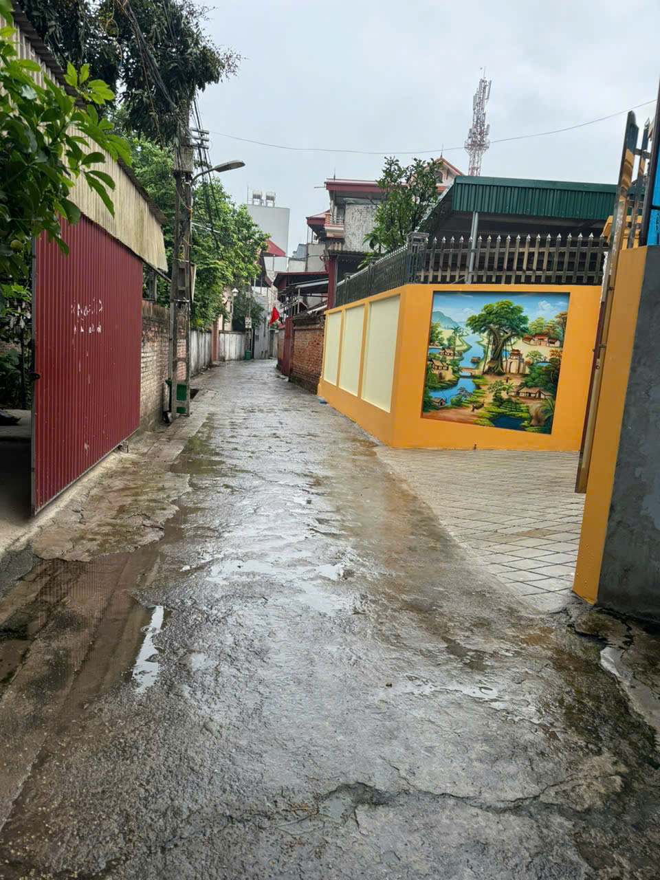 z6751090210912_b8619a30bd0e61b600527be64927d58d