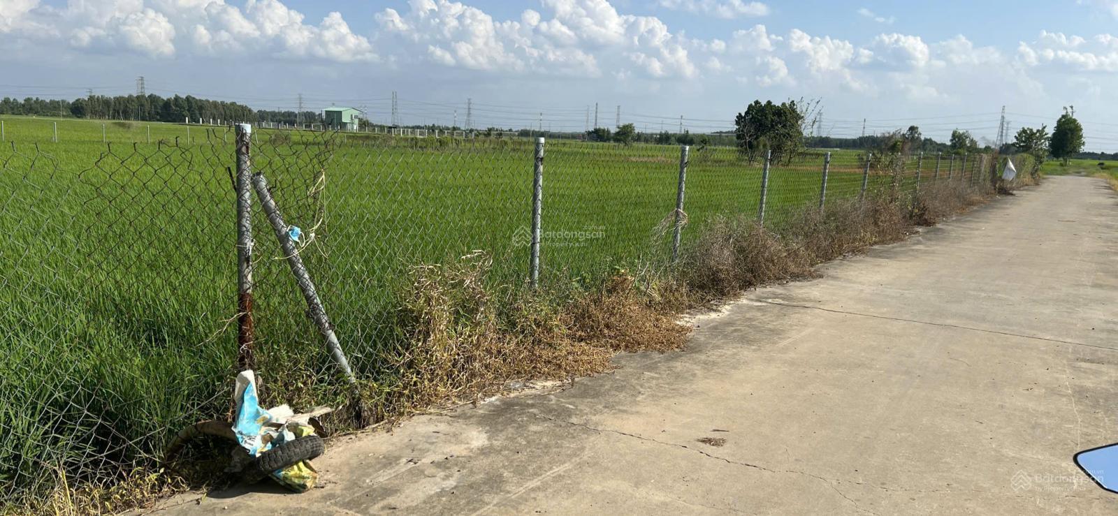 20250729085441-1d99_wm (1)