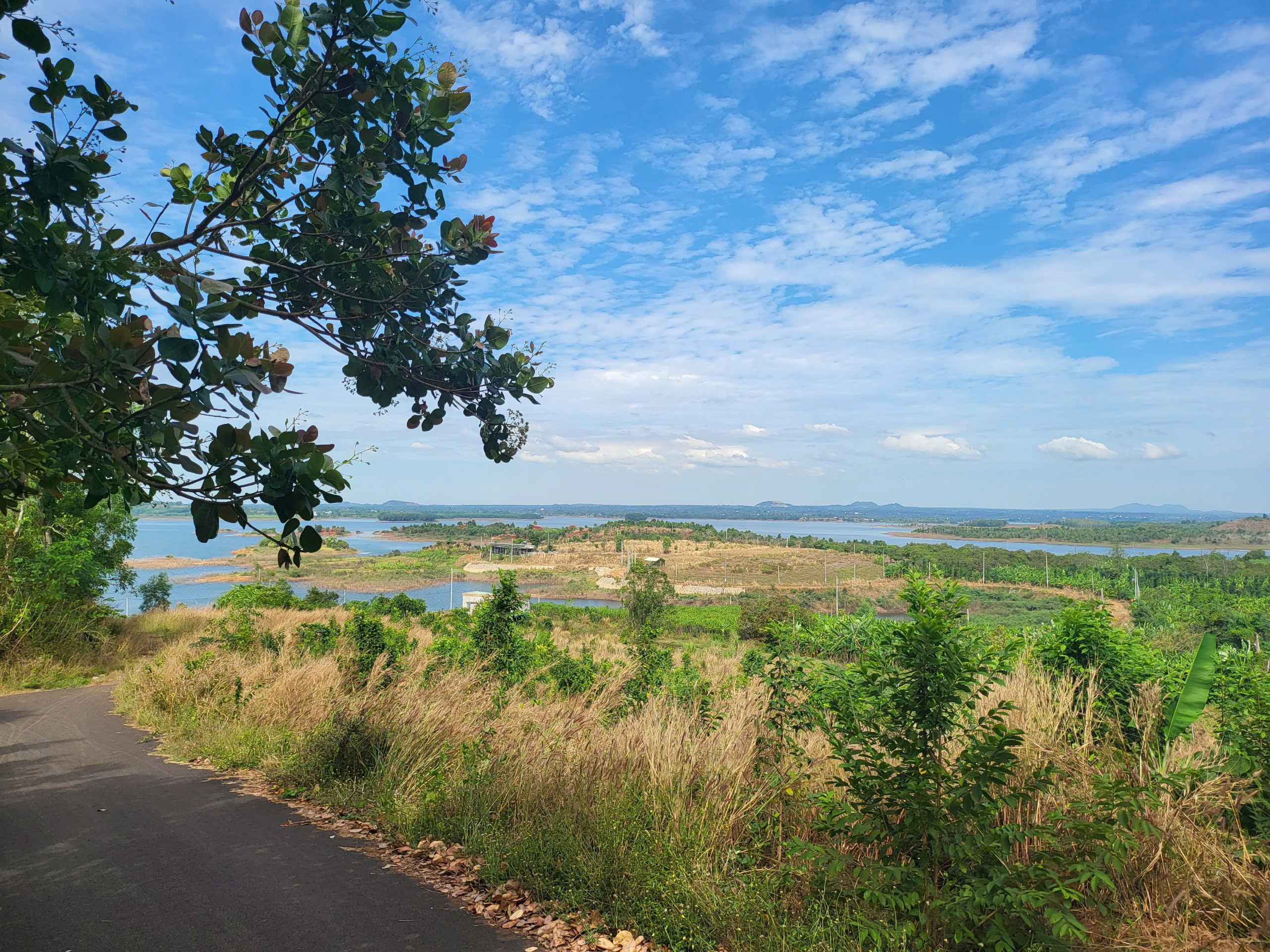 2e0526792a01a35ffa102