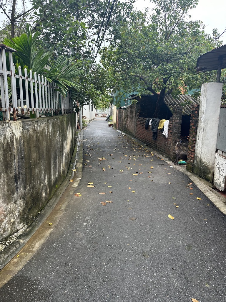 2h9g-6EA1FB6E-m152zhes_52_7 (1)