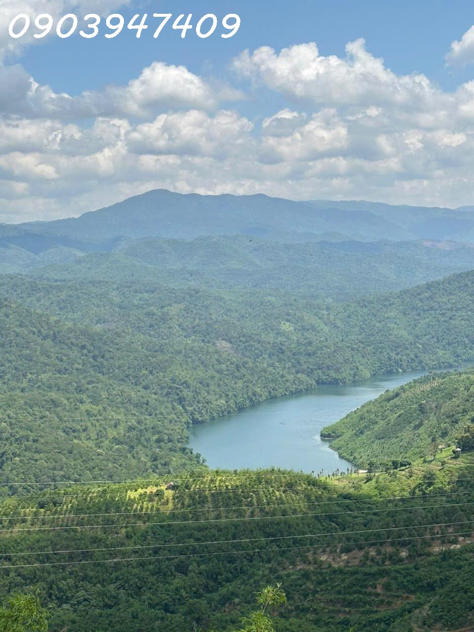 38ba0a65-2de1-49e7-99aa-402cb12d4907