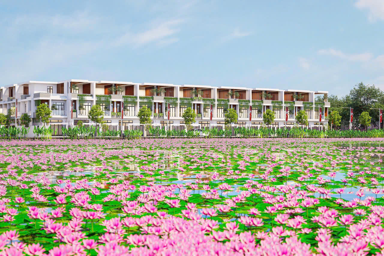 468a9cdc6ef8d8a681e9 (1)