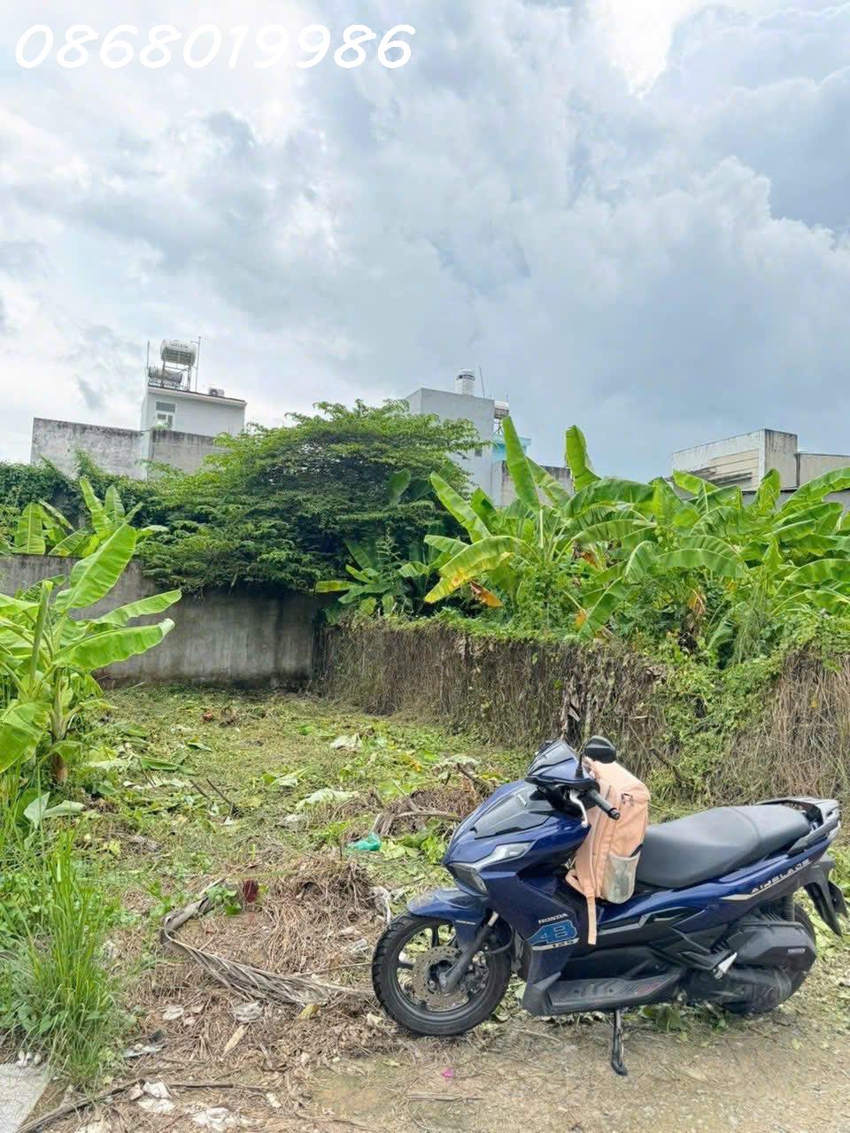 504379487_2353280275163127_6211925902084166404_n