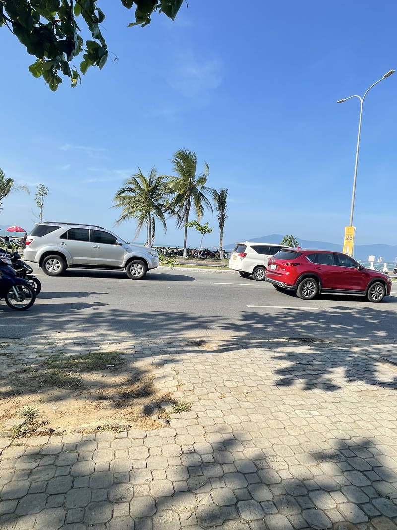 51334876-fb46-5278-85ce-aeeb0798bddc