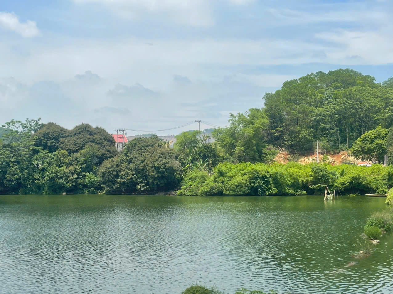 513e978feb685d360479