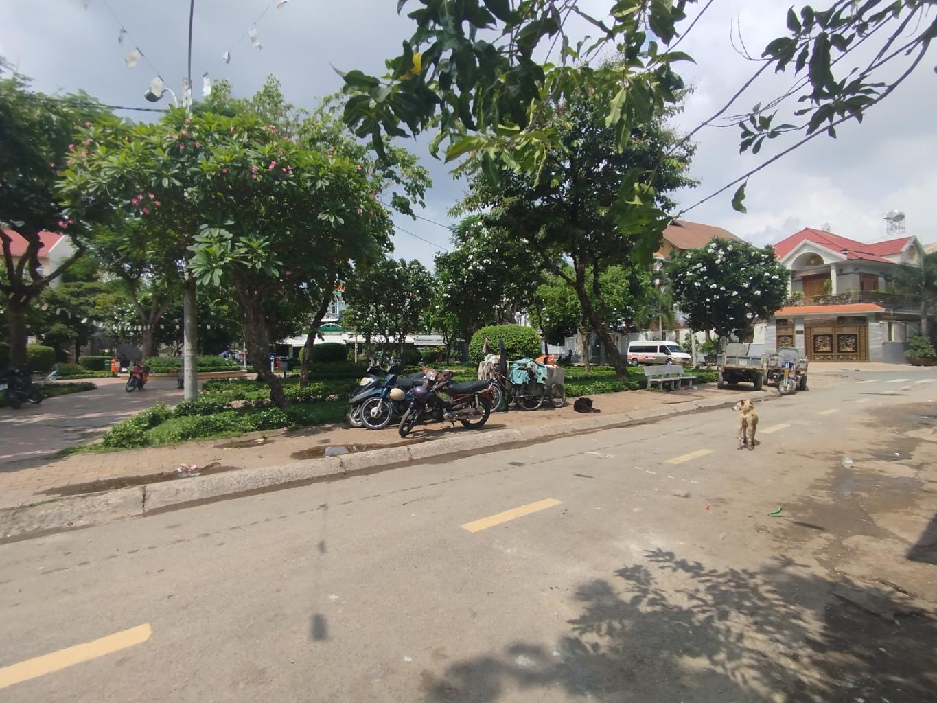 515698382_122293840904023779_6337204157138250389_n