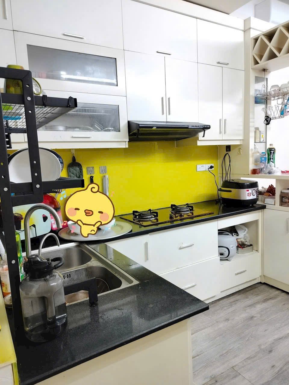 518147694_3258454530959047_7496706274050137891_n