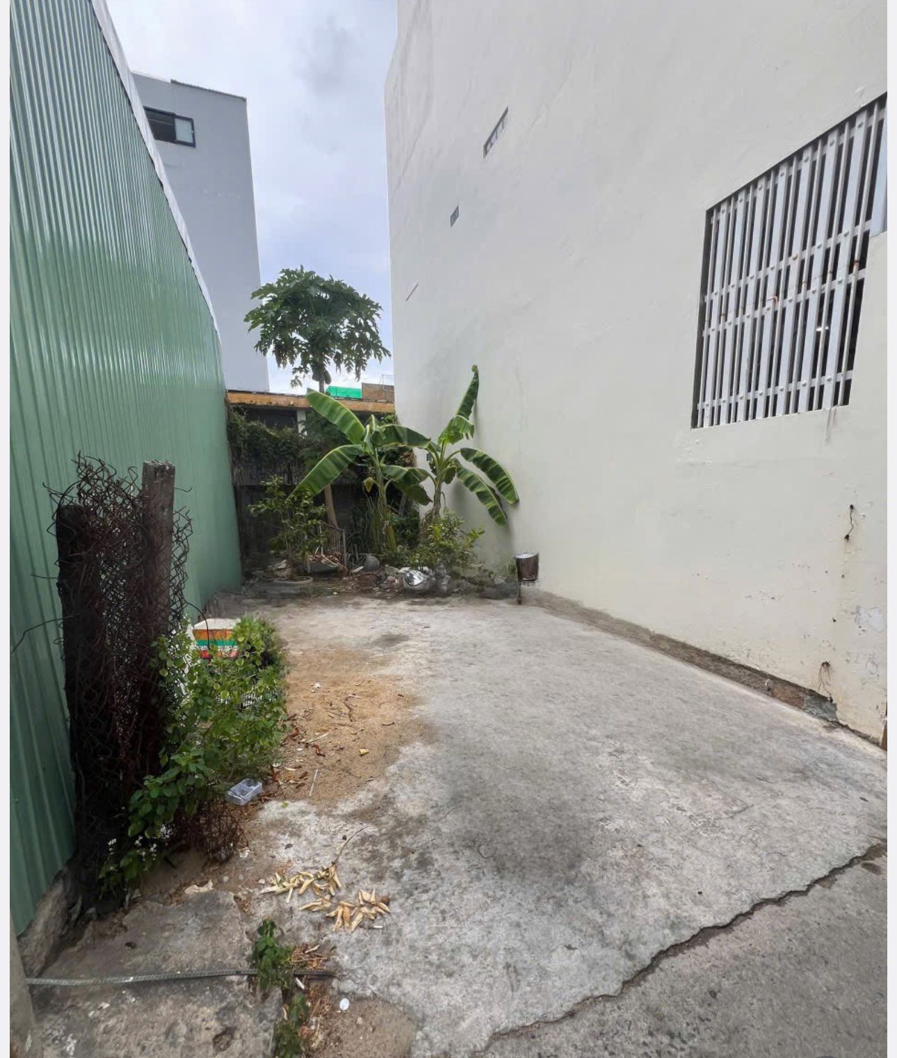 524168714_4459730517685537_6399130111521502602_n