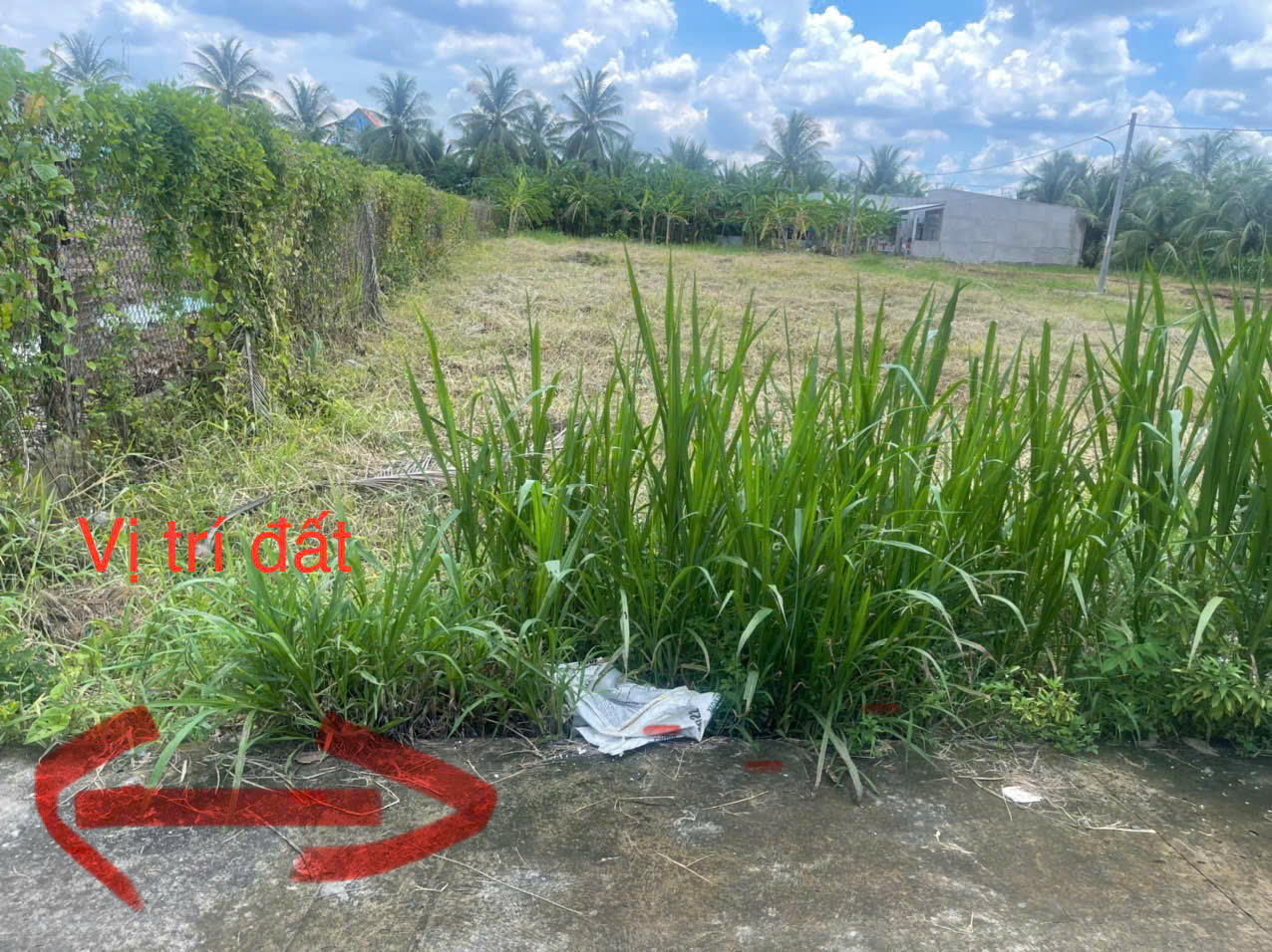 5c9f26ae6fcbe695bfda4