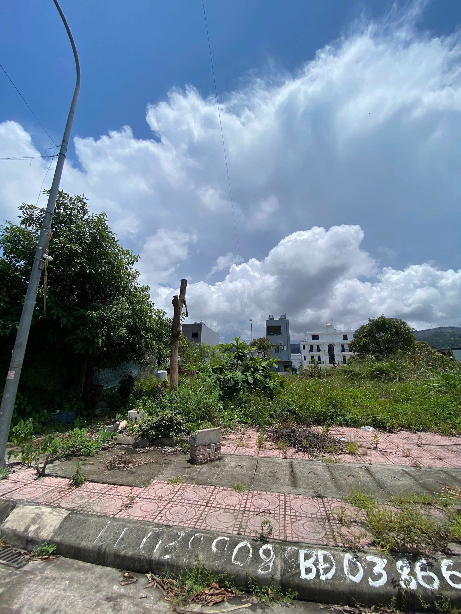 8e061abd74bfc2e19bae