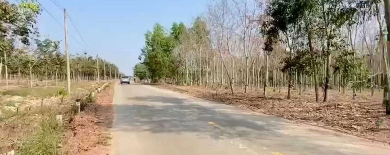 919abbb659db2527c0b0be6eb03bf183