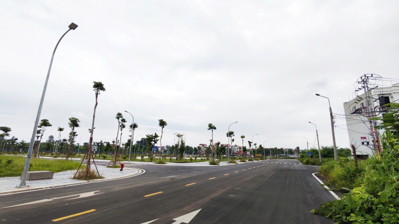 91d6f12473b95c9e8a3a9991614c5516