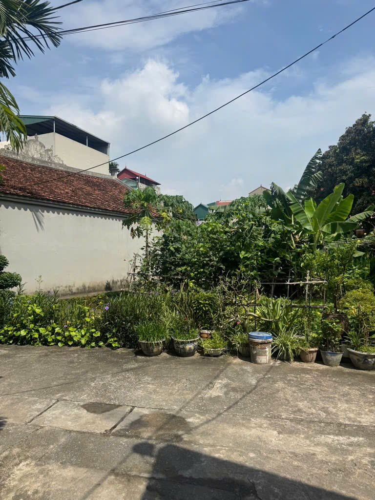 ANH DAT NGUYET ANG 24.7.25.1