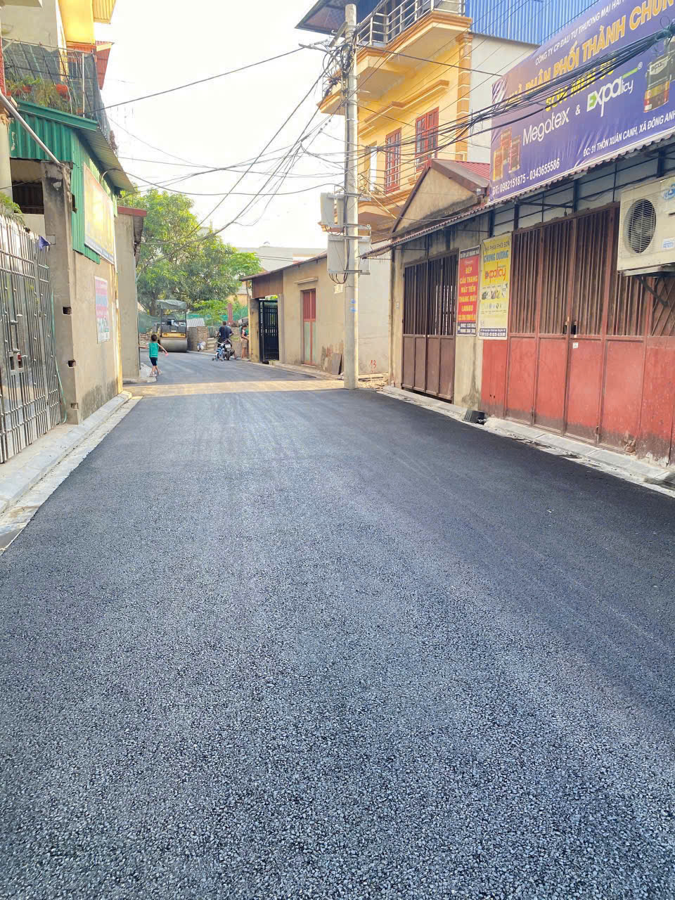 Ban Dat Xuan Xanh Dong Anh