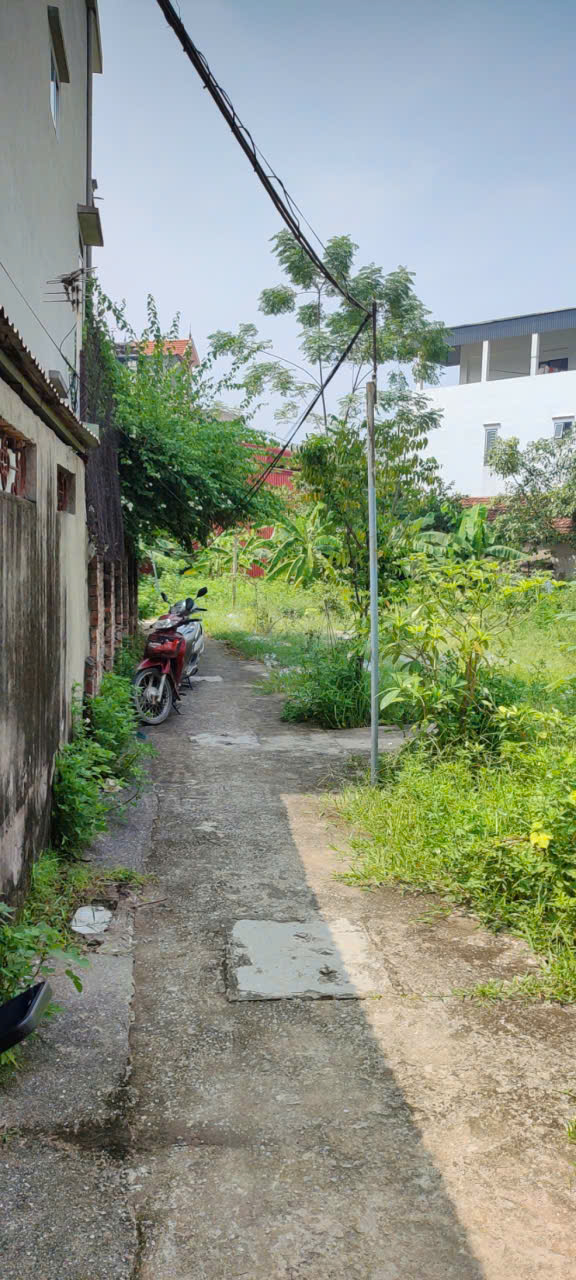 anh dat vinh trung(16 ty) 30.7.25