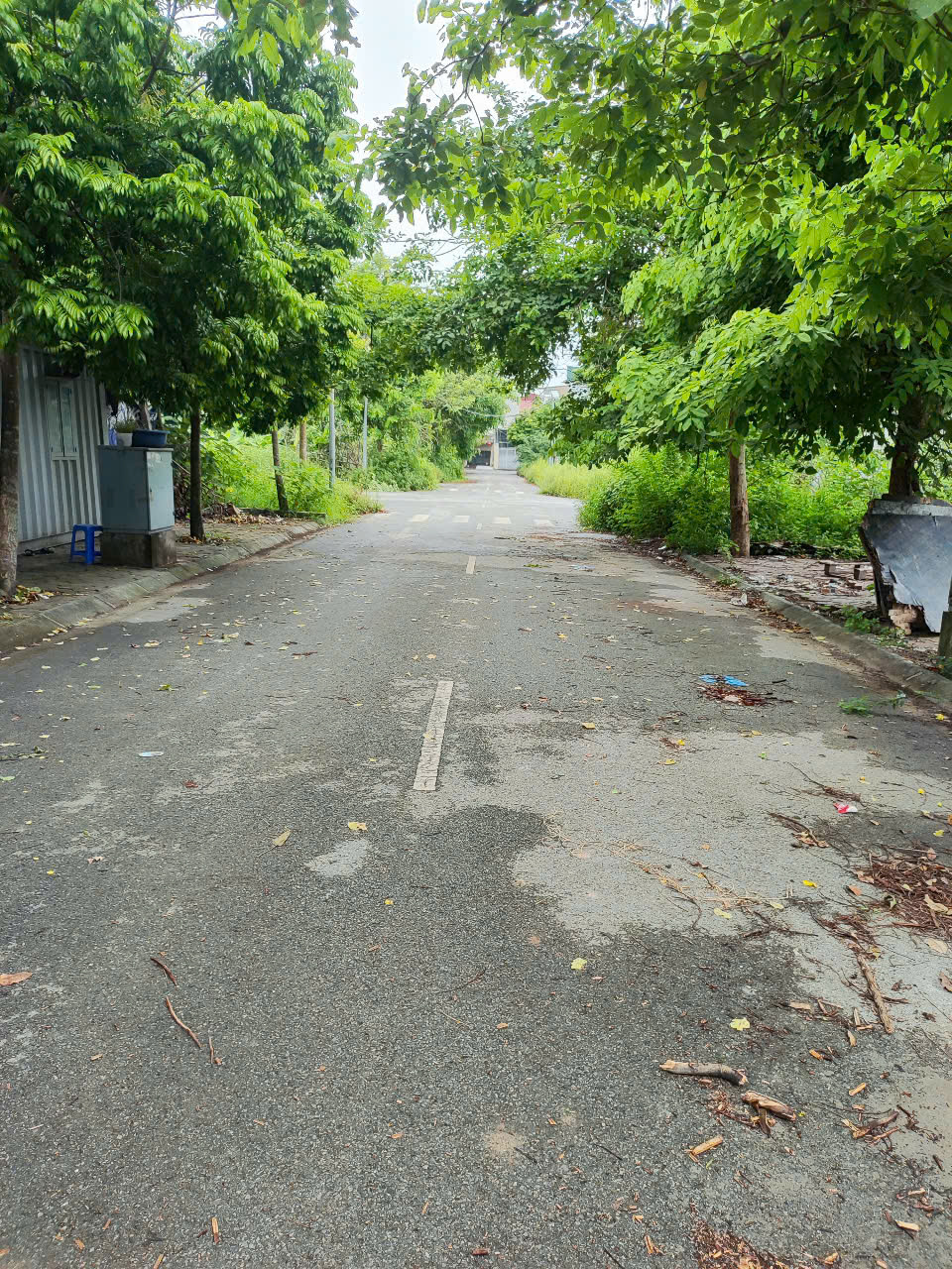 anh  tai dtin phan lo tdc lien ninh 13.7.25