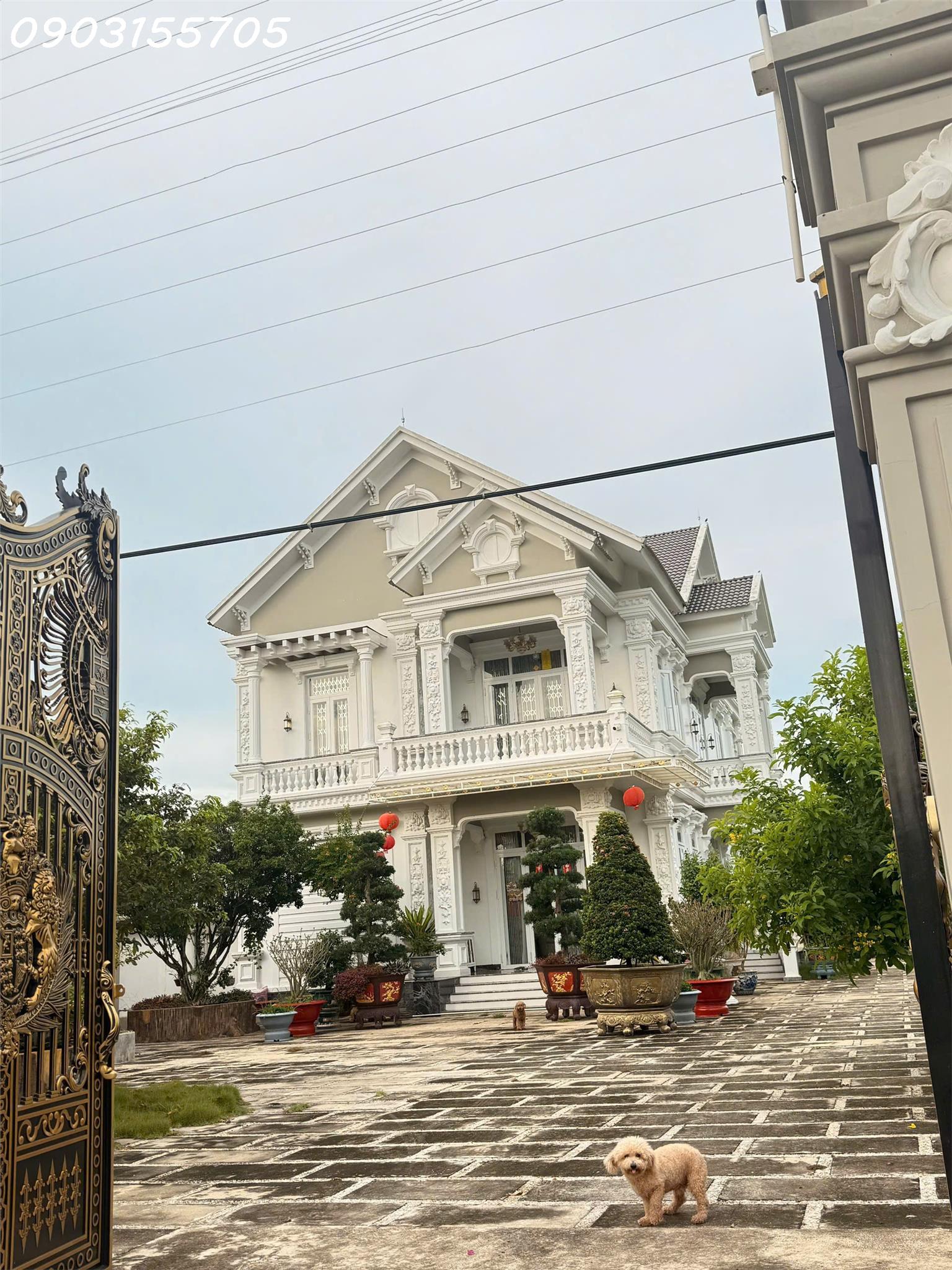 c57b4748-24fd-454d-8715-a5bdc1fb1ca4