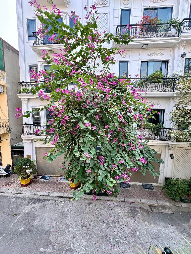 gen-n-z6781826865725_3079ce49e9a7a08d3c6dc06f3fb5b8d5