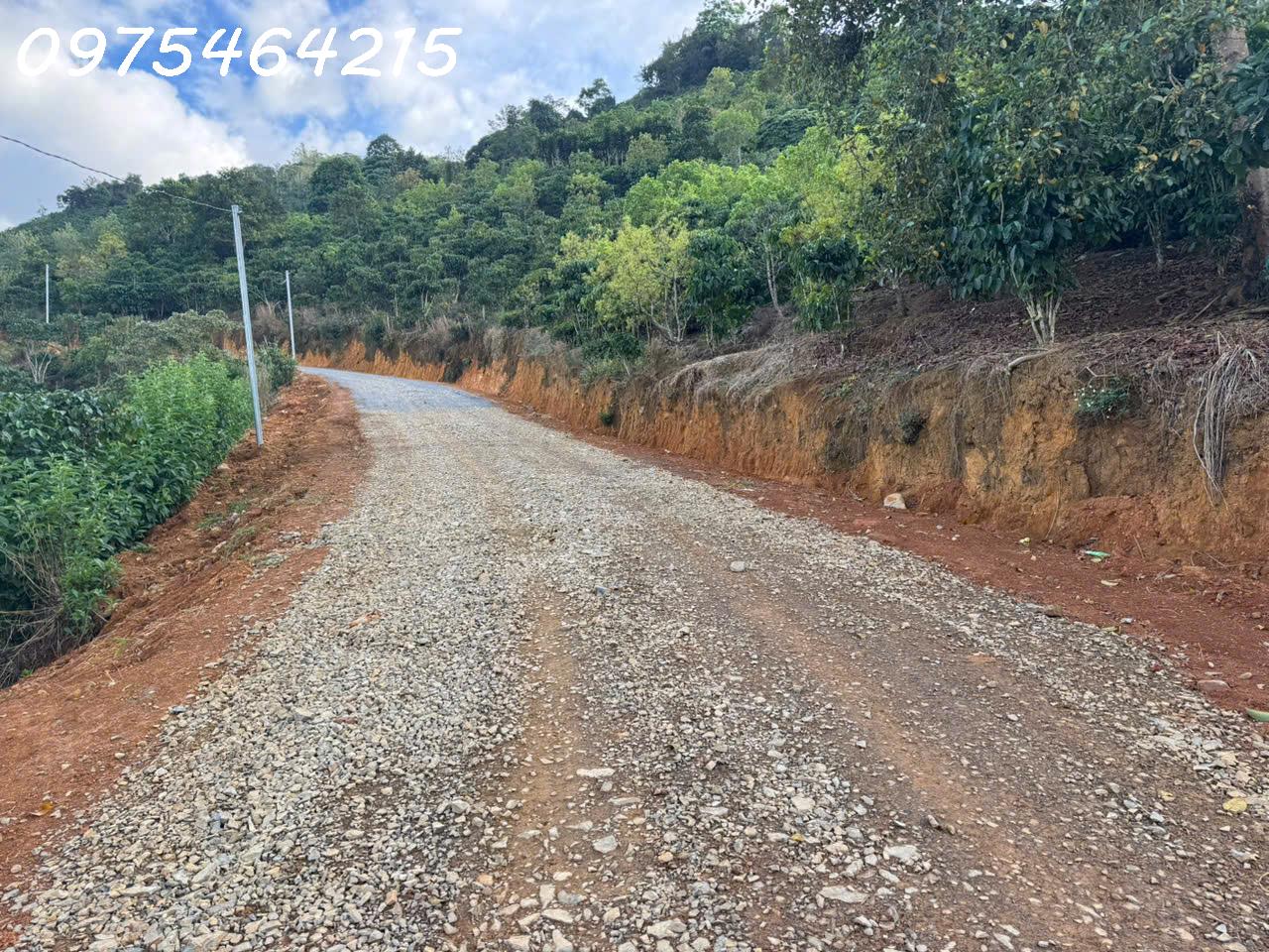 gen-o-z6825016713495_8f13841683affa7fdc04512a577bae0d