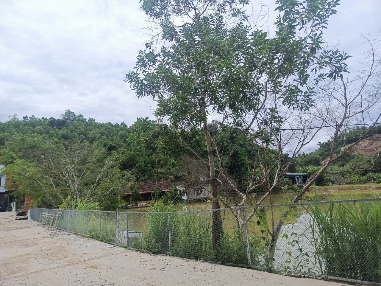 photo_3_2025-07-25_20-38-04