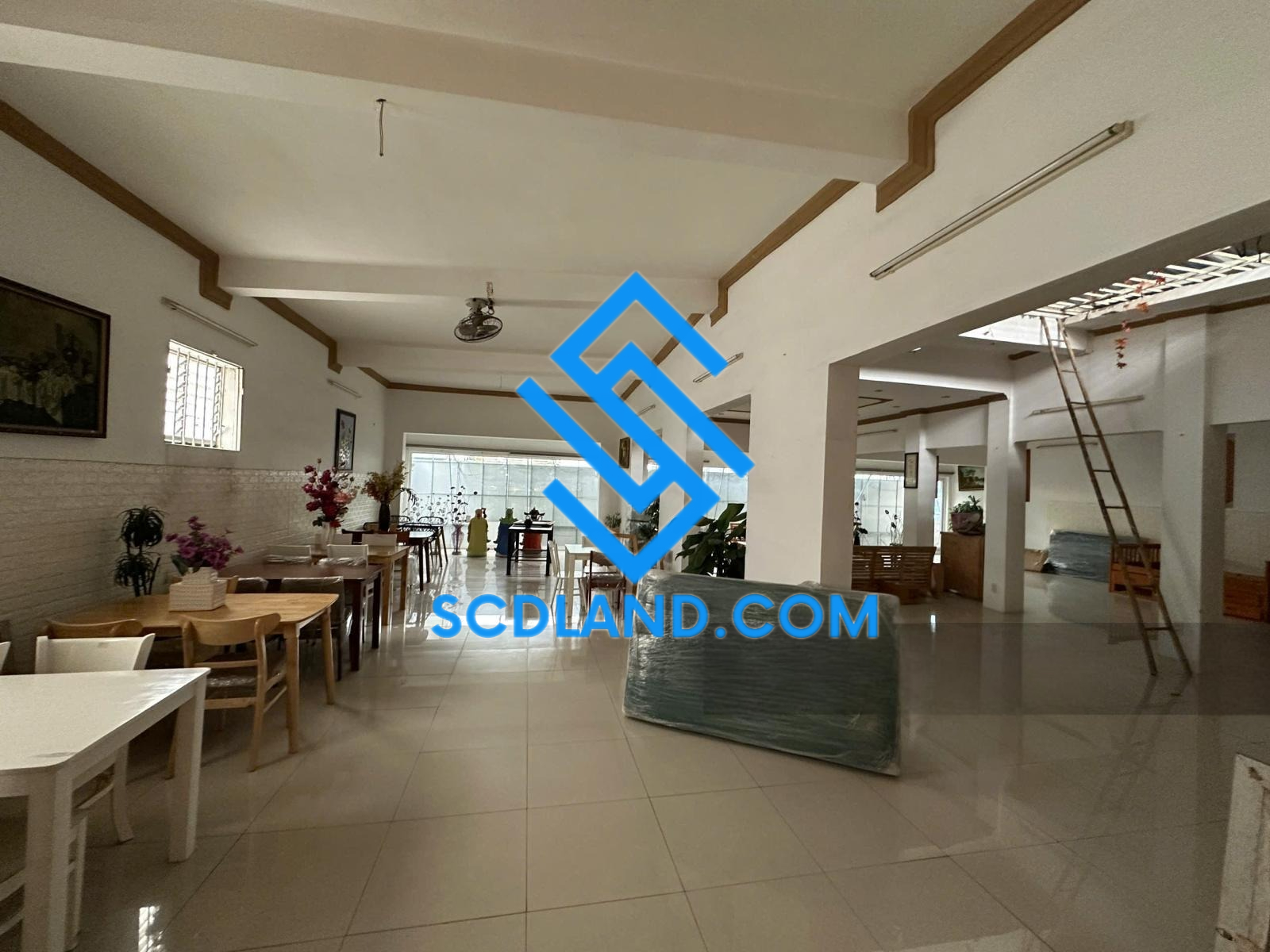 snapedit_1753003885130