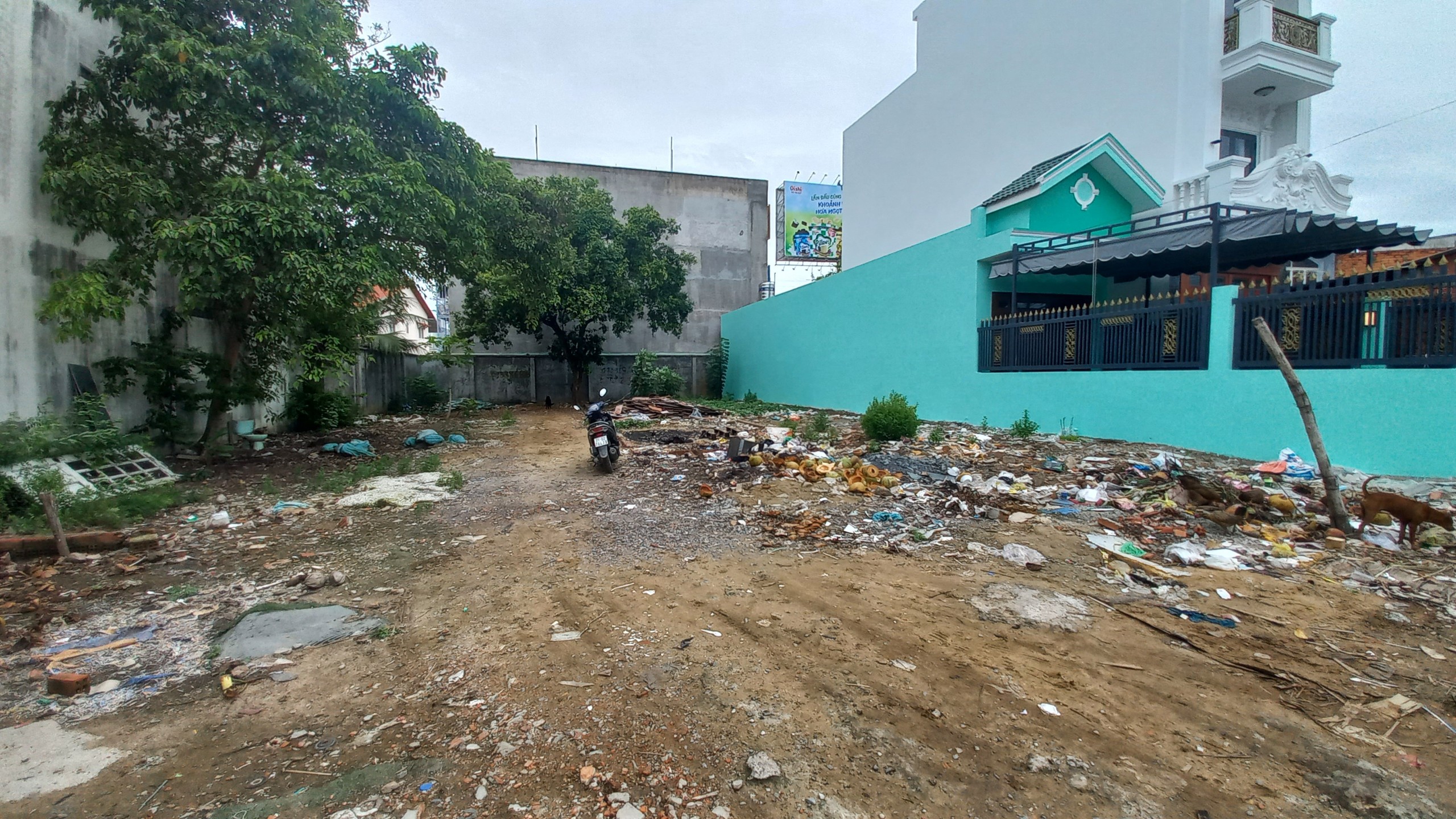 z3558084344840_604b3c2b97108ac3ddfc632cb4867ac4