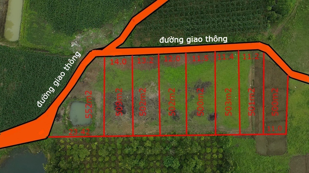 z4520417300687_58851e3a7a24c6be90c409941b1dbcca