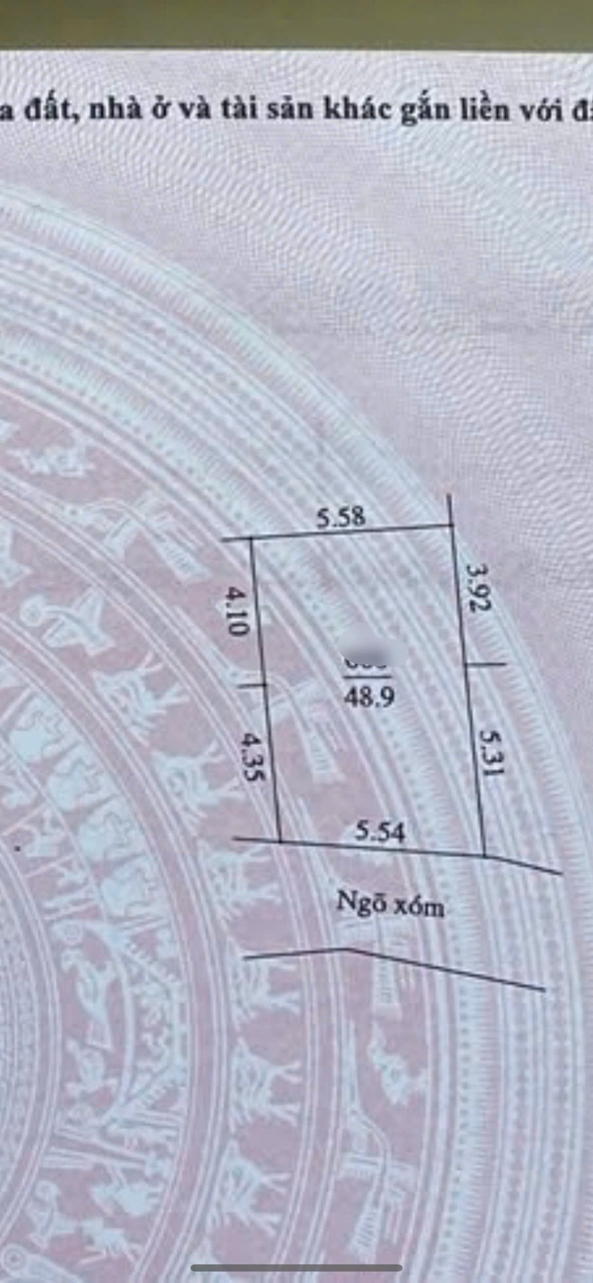 z6137830228214_03a7a230a40a9e7780ecf39007a7f44d