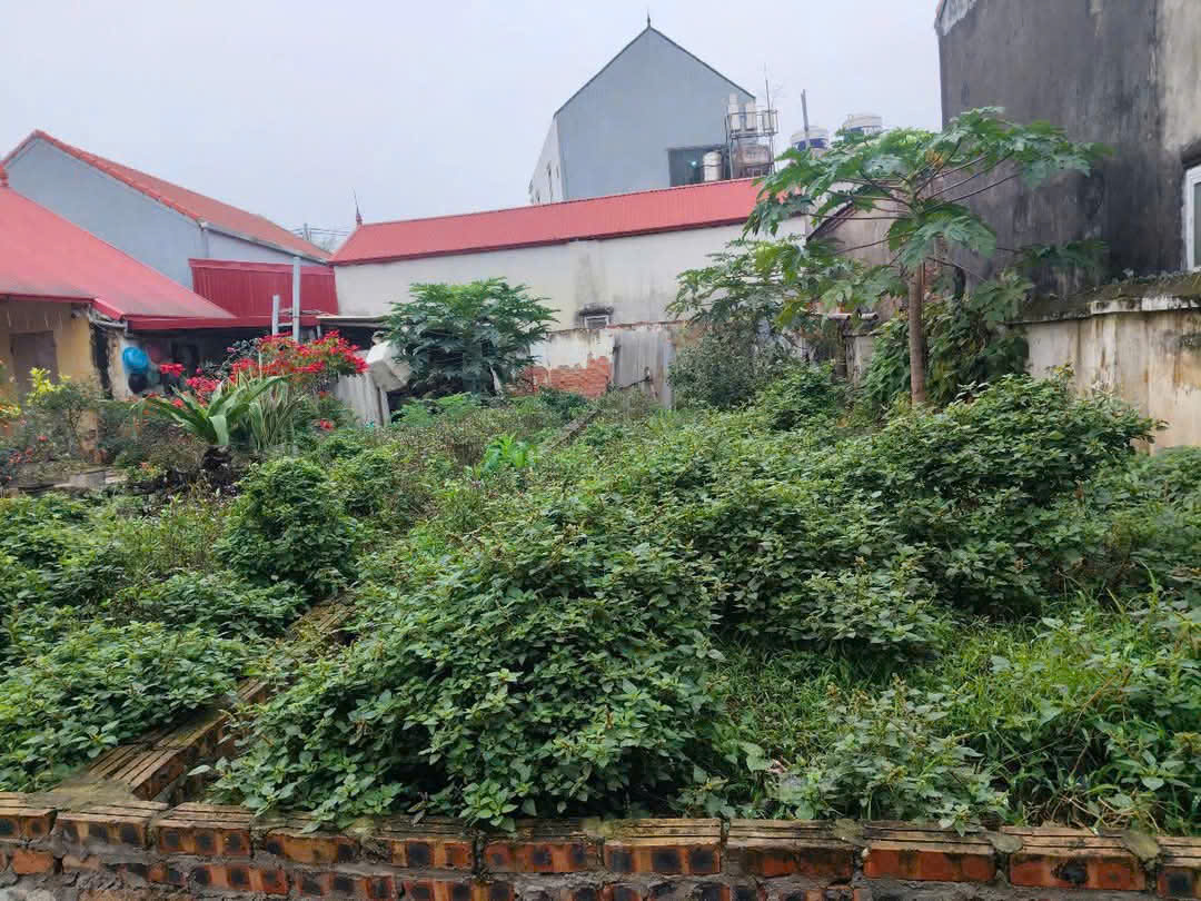 z6475452660072_76b0fe2fb246c8e94a1033dfde54e583