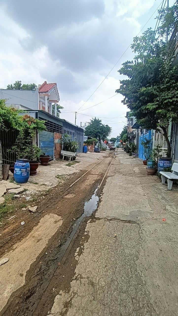 z6521155557042_8bceac36d9c2cf07afab1ec4c402867d