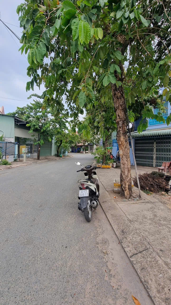 z6532723828403_373efbef07ff06398f6582c4dd4178a3