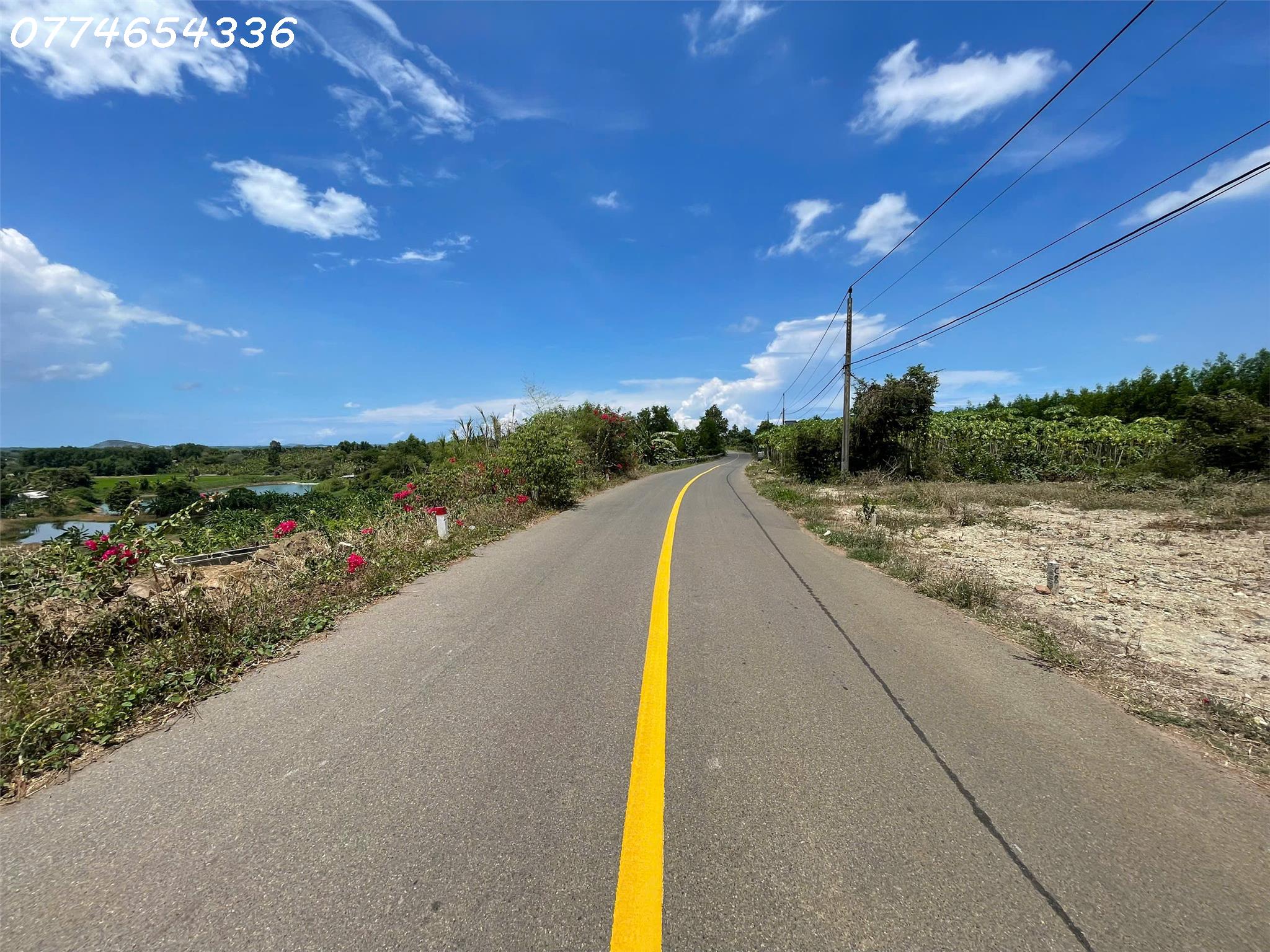 z6647042765920_b4b0098d300521692102b30386a1c7e3