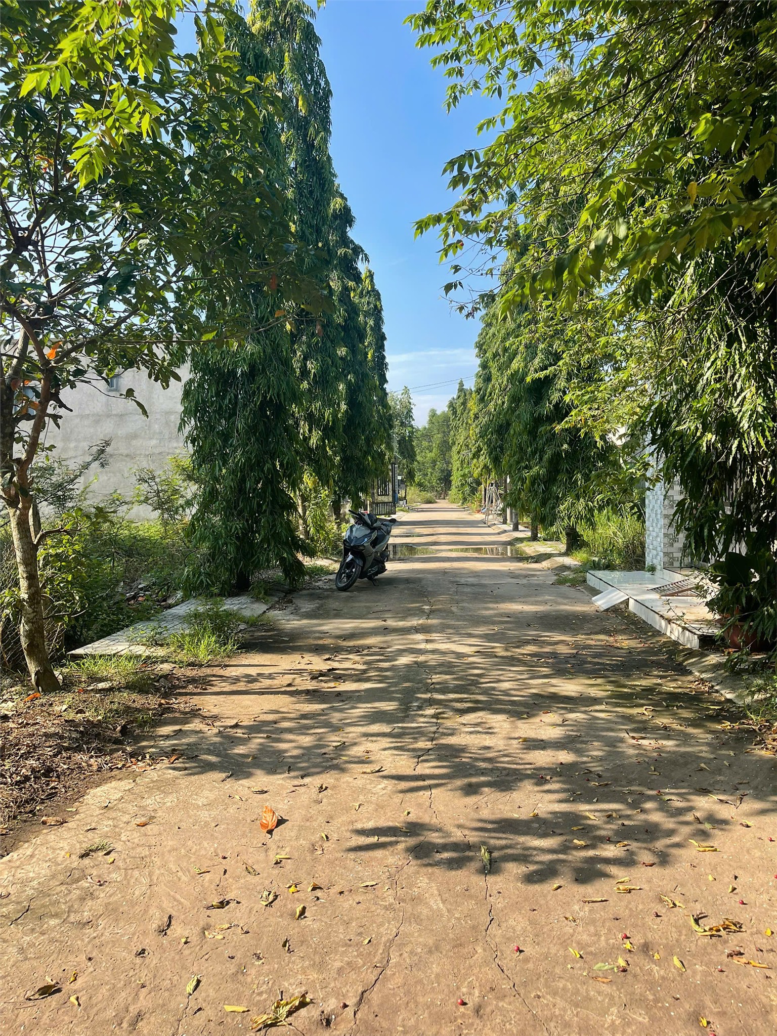 z6656611570248_bd69283746f8483d64687109fdf41c31