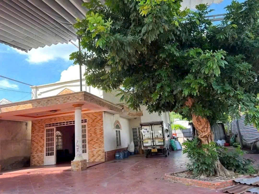 z6662135711863_2cf7fb23c25b094f2fbb7efe391edf77