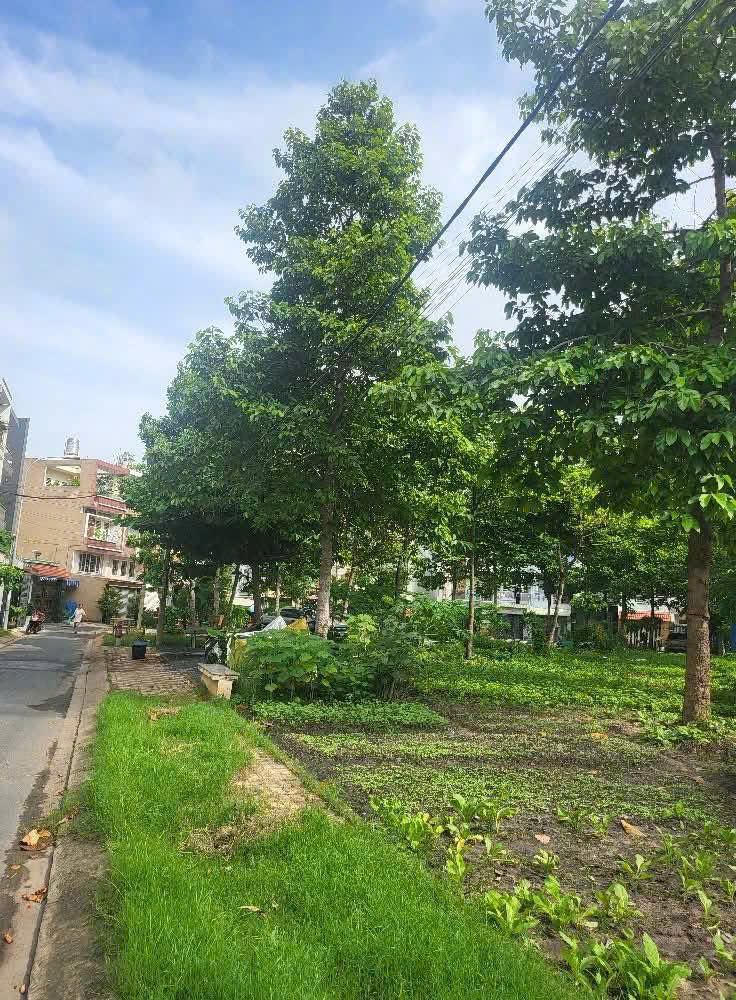 z6699265937601_c5813dd6818360740bcdeb1fc08d45fa