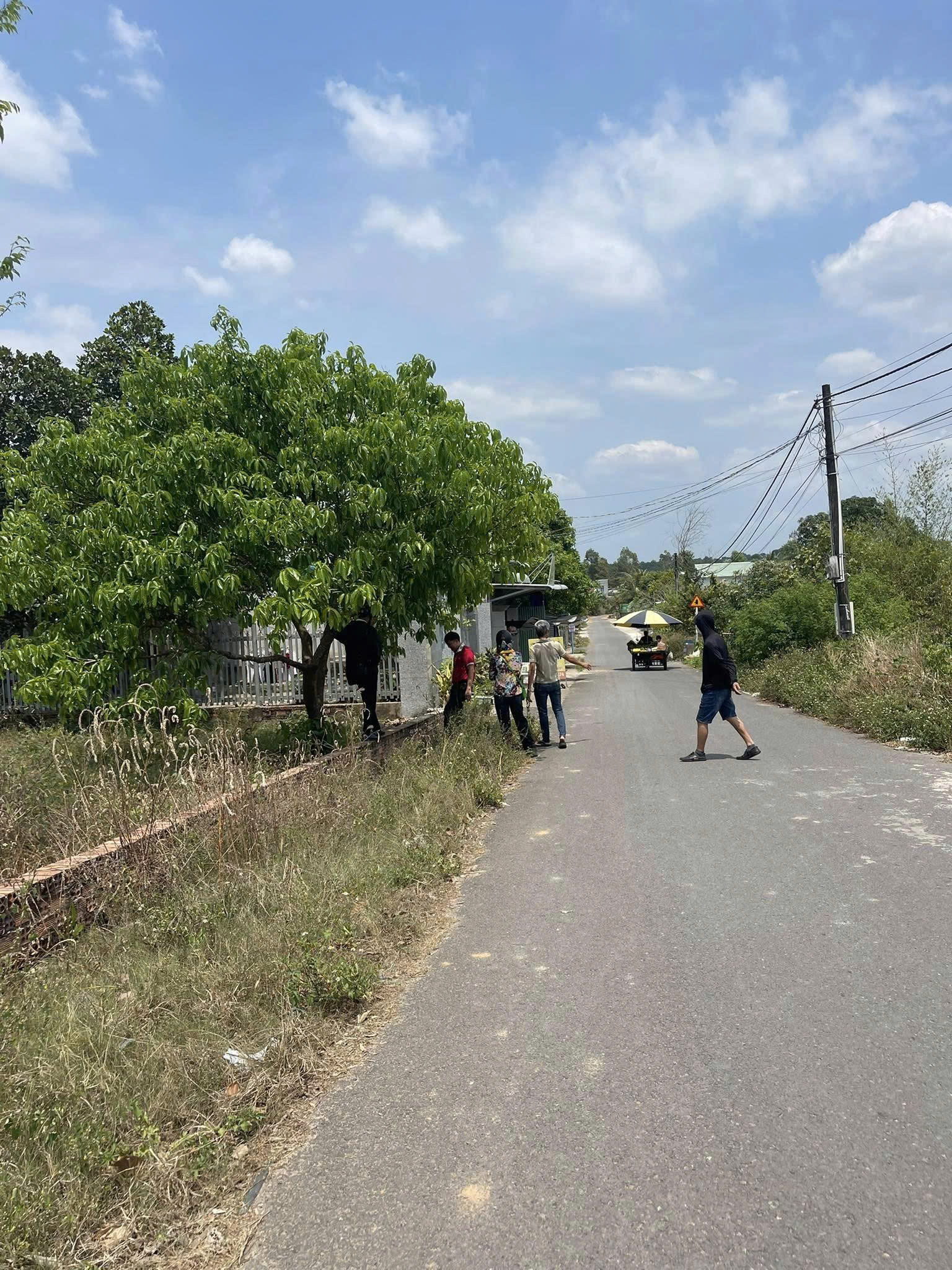 z6727749623033_81ce331a3b2ae427529e29bee5e408ef