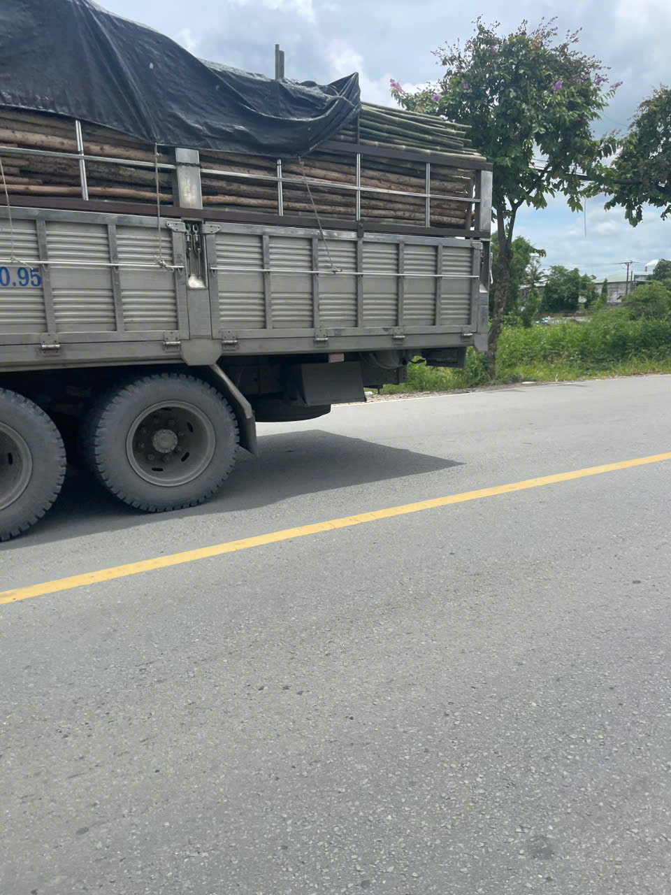 z6736645187436_9c4a6c62cc3dfe41b915c1aebfebd947