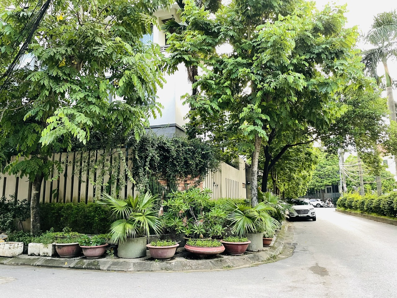 z6745802947630_6ca41da6dd56b8c1f4ece38830e8205b